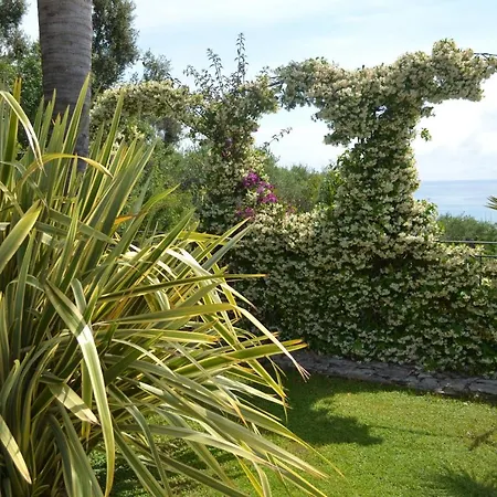 Holiday home Chiara Santo Stefano al Mare