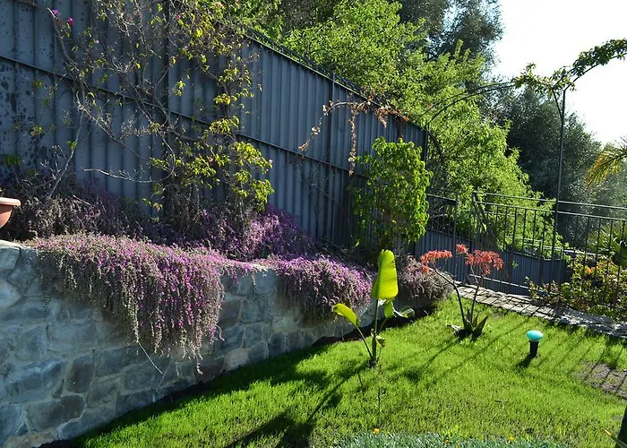 Chiara Santo Stefano al Mare